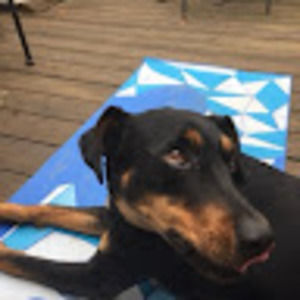 Meet your Posher, Zachary